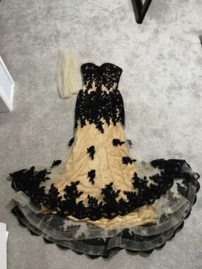 Elizabeth K Black Appliqué Prom Gown on Nude/Champagne Base